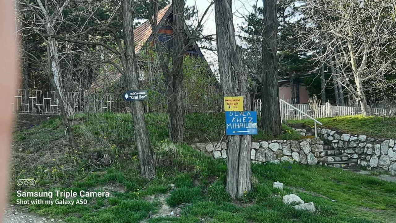 Kuca Za Odmor "Crni Bor" Golubac Exterior foto