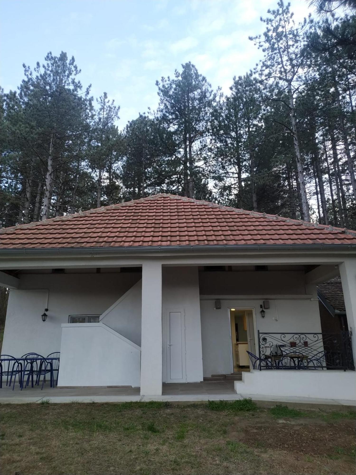 Kuca Za Odmor "Crni Bor" Golubac Exterior foto