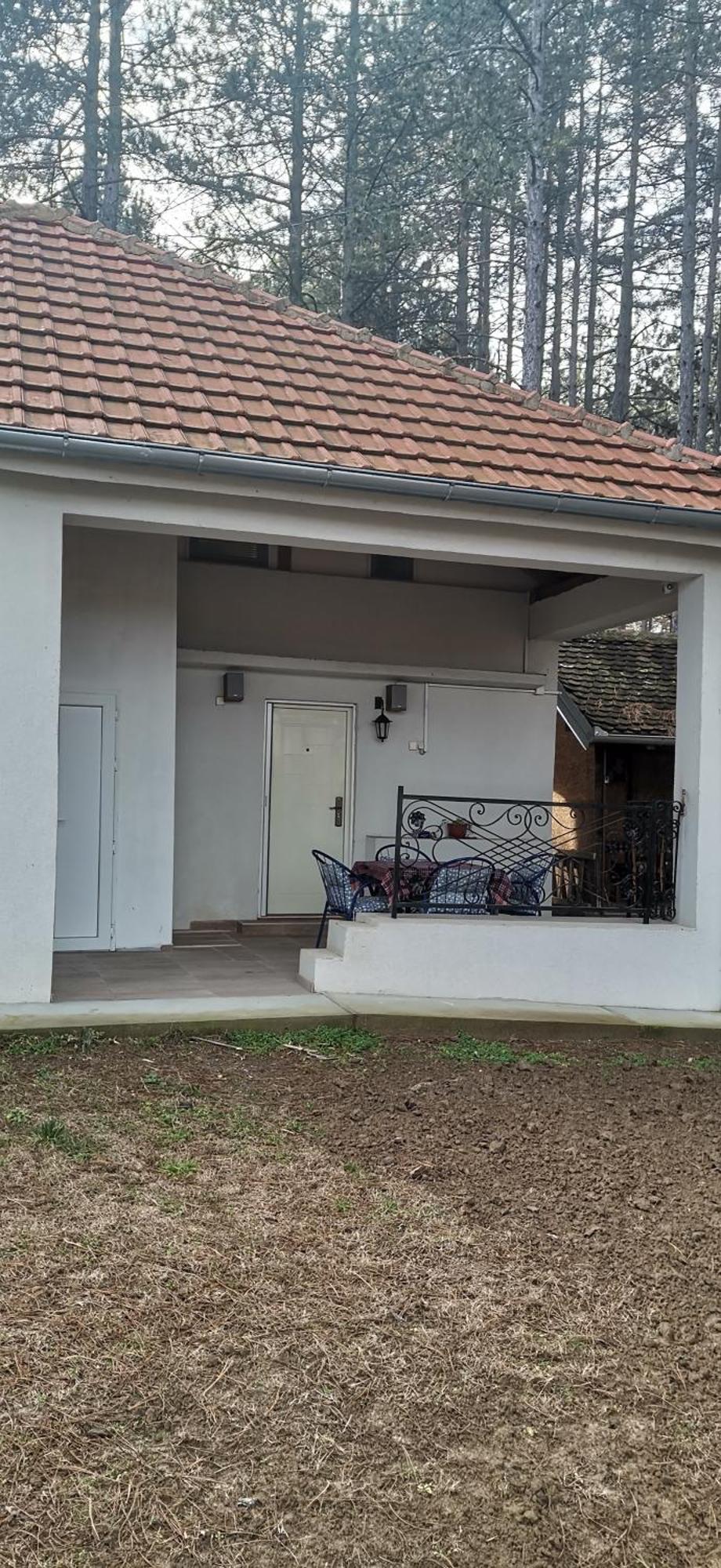 Kuca Za Odmor "Crni Bor" Golubac Exterior foto